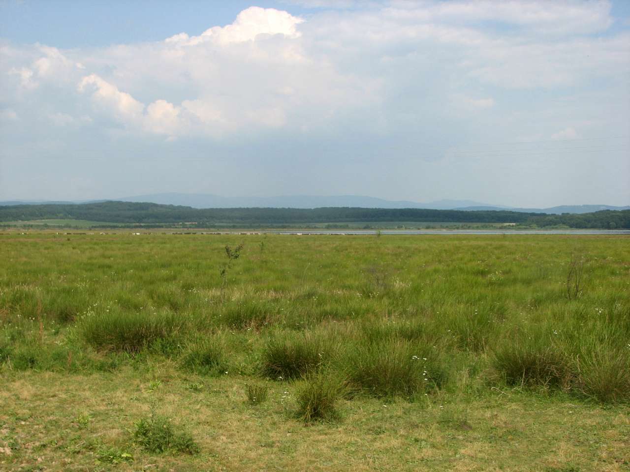село Форнош Мукачівського району - Форнош
