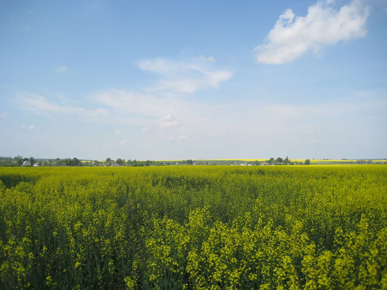 Іващуки - Іващуки