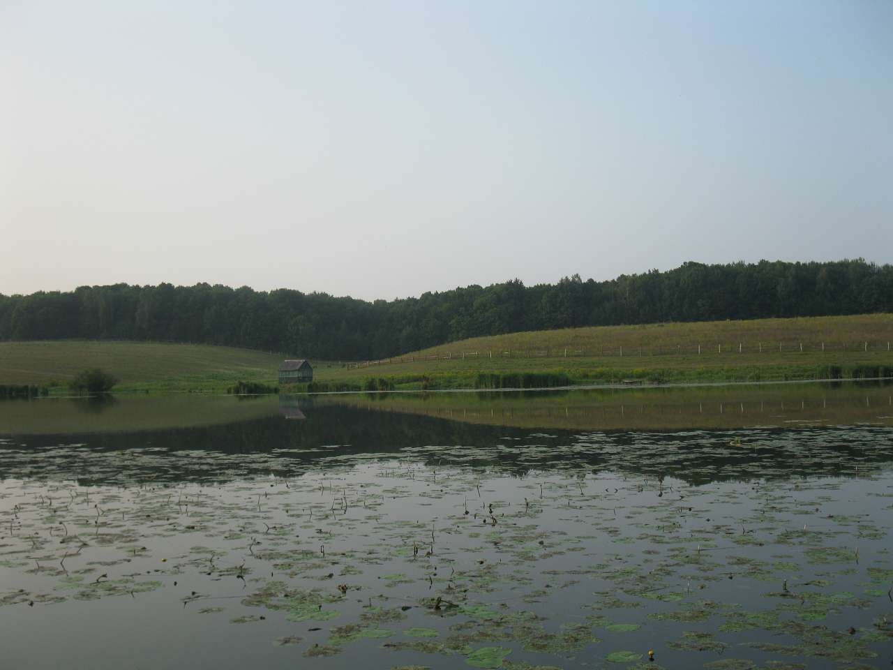 Паламаренкове. - Трибухи