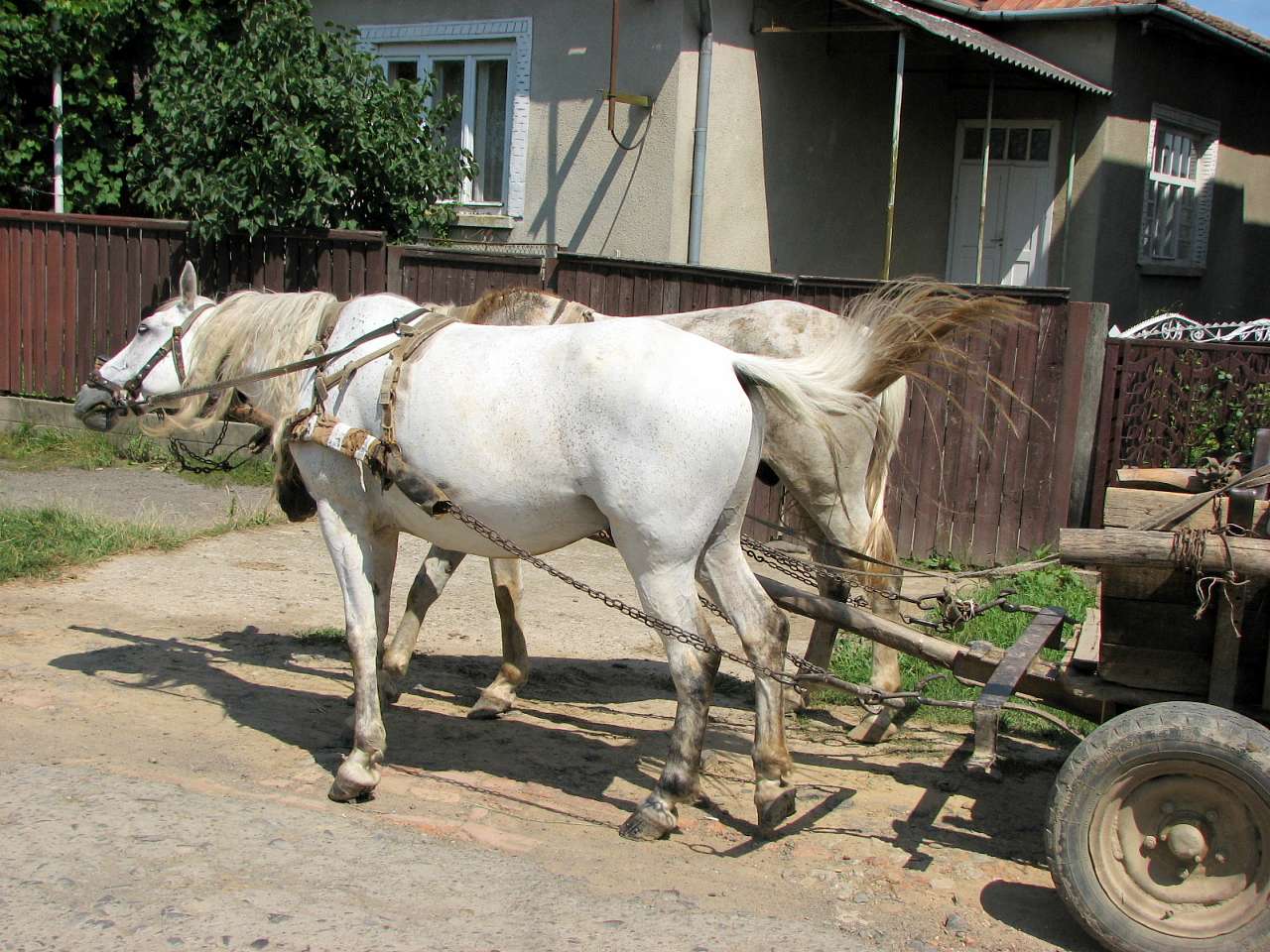 село Форнош Мукачівського району - Форнош