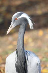 Кафе 'Ереван' - оазис при  дороге