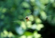 Природа края