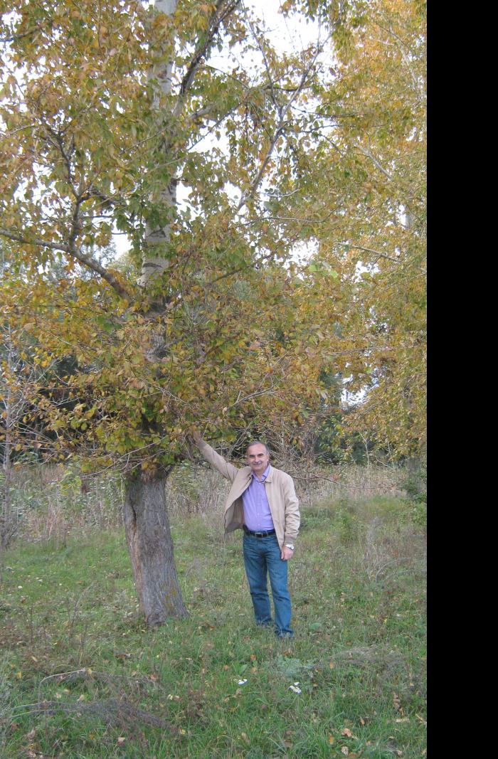 Рубанка - Рубанка