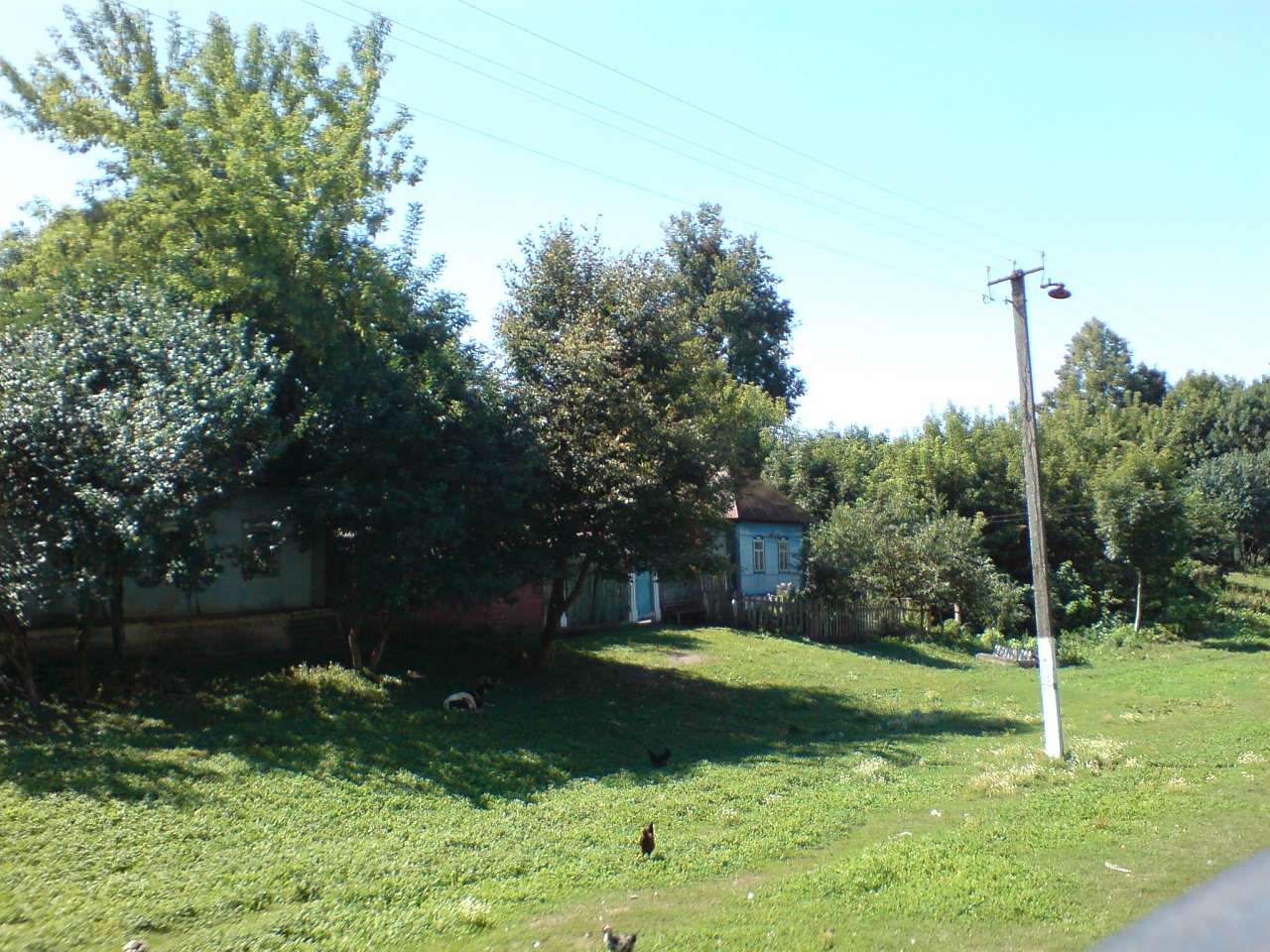 Яструбине - золоте село - Ястребиное