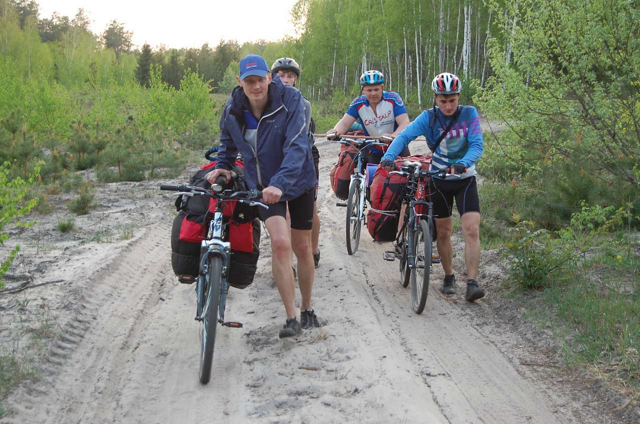 Узруйское лесничество - Узруй