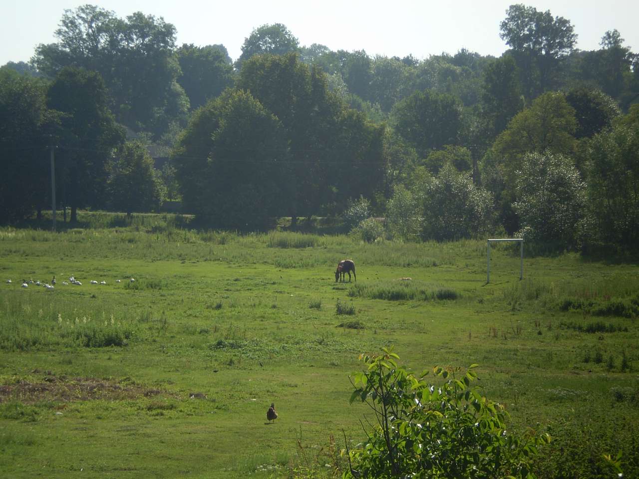 Чагрів - Чагрів