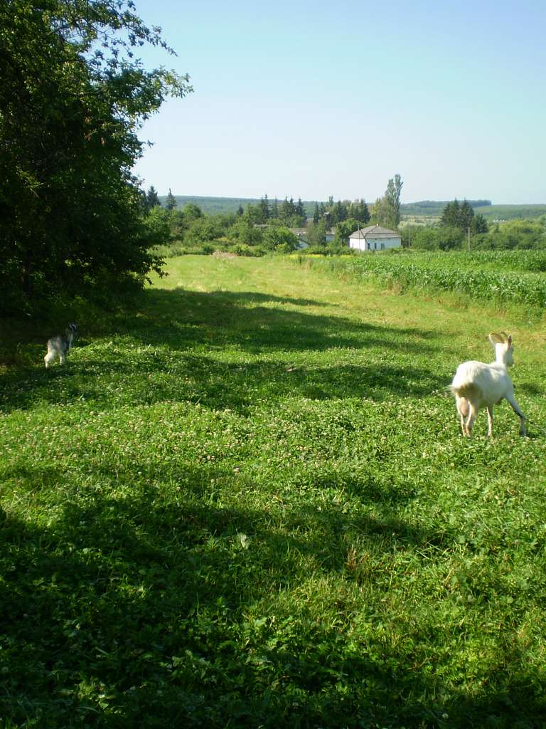 Чагрів - Чагрів