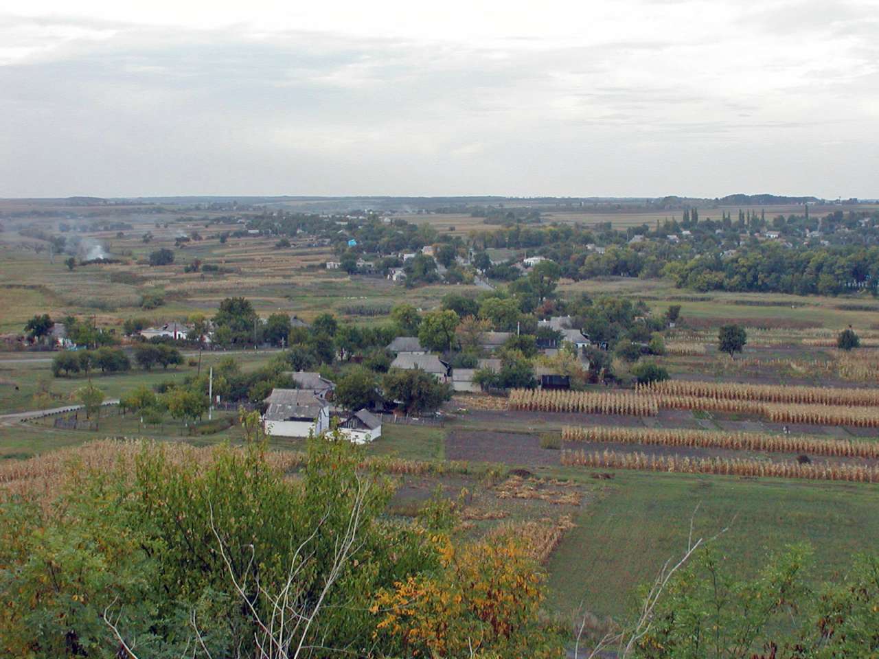 Лозоватка - Вишневе