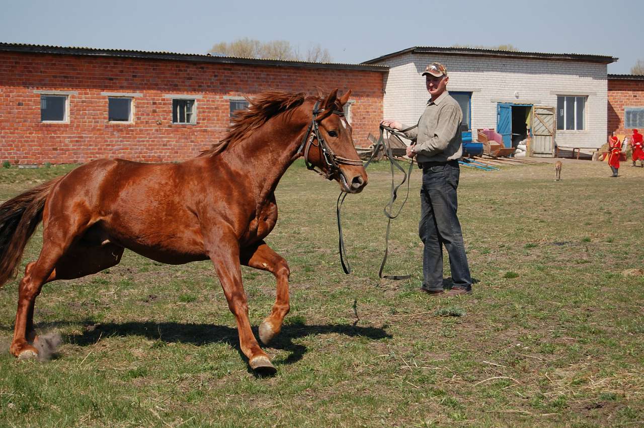 Черныш 2010 - Черниш