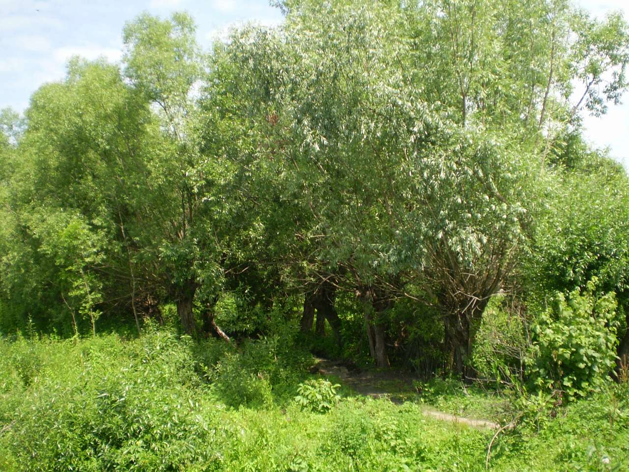 Чагрів - Чагрів