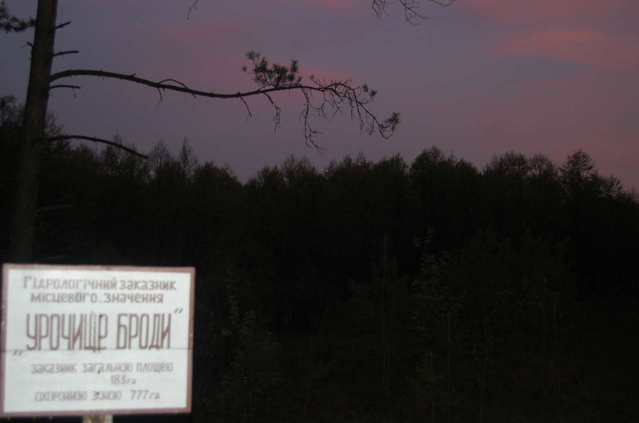 Узруйское лесничество - Узруй