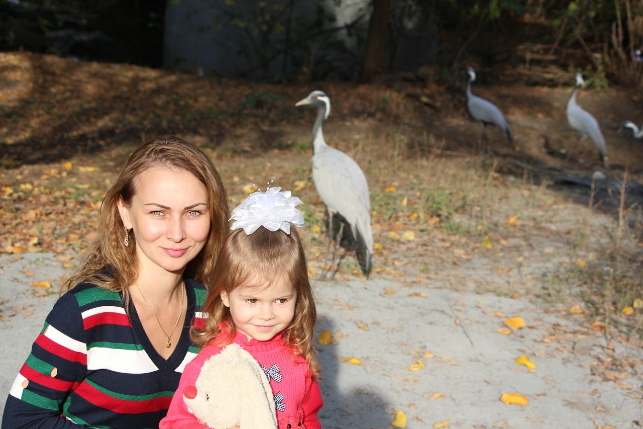 Кафе 'Ереван' - оазис при  дороге - Корінне