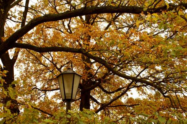 Природа - Мельница-Подольская