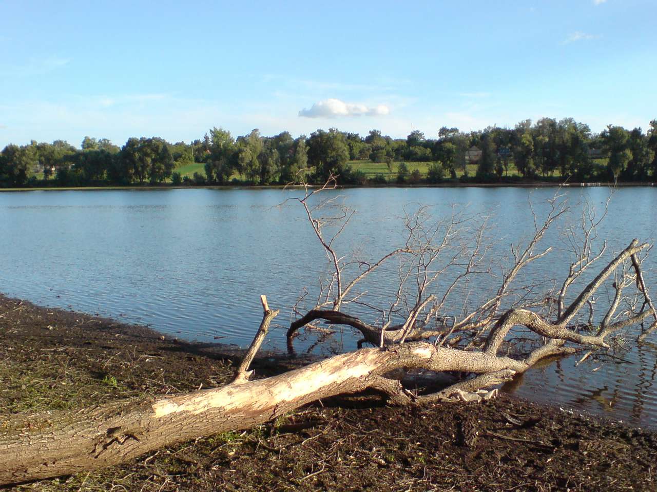 Яструбине - золоте село - Ястребиное