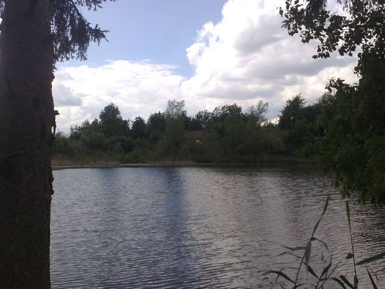 альбом - Бондуровка