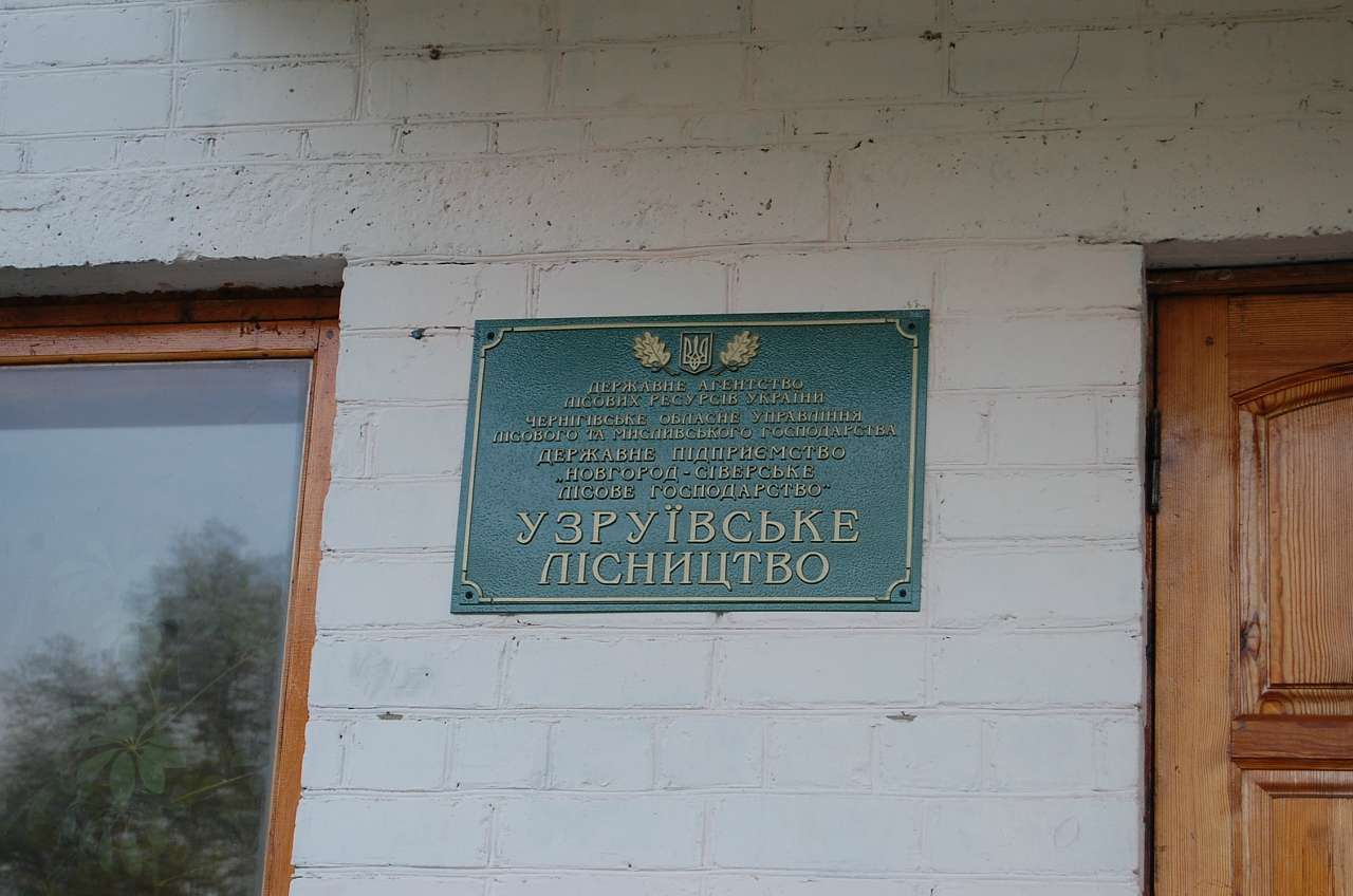 Узруйское лесничество - Узруй