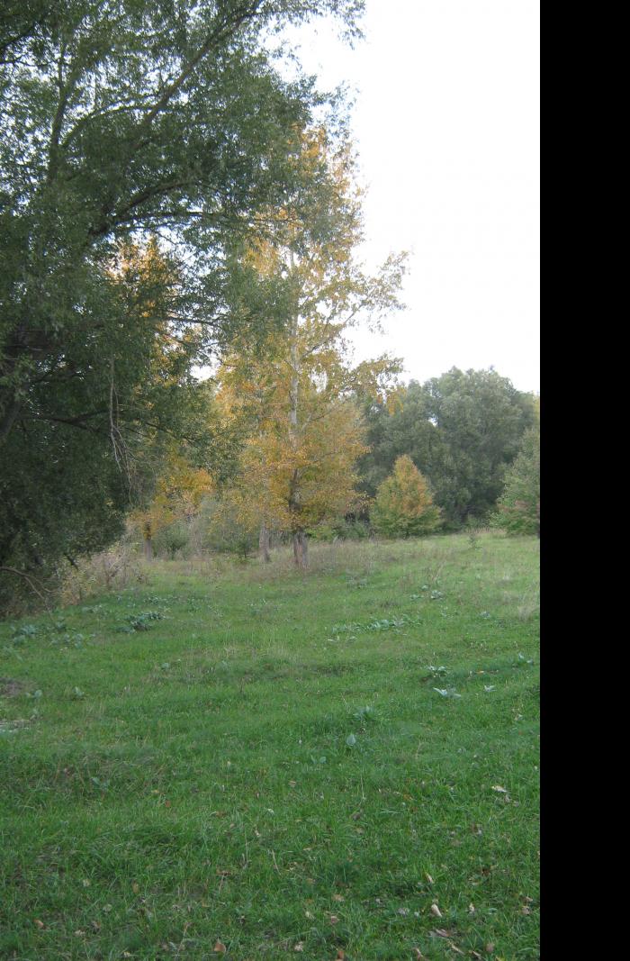 Рубанка - Рубанка