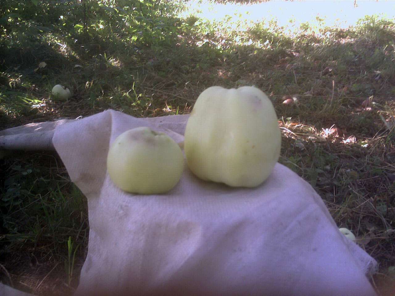 альбом - Бондурівка