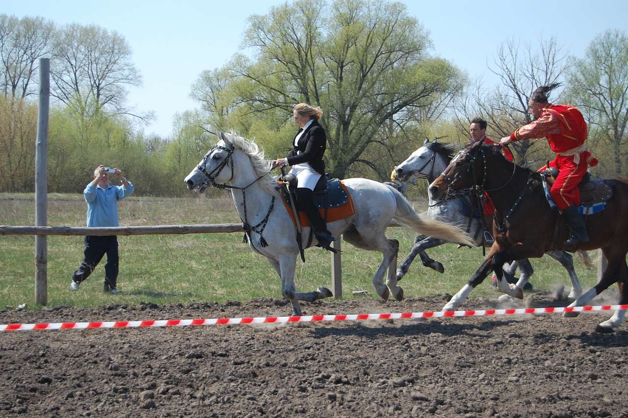 Черныш 2010 - Черниш