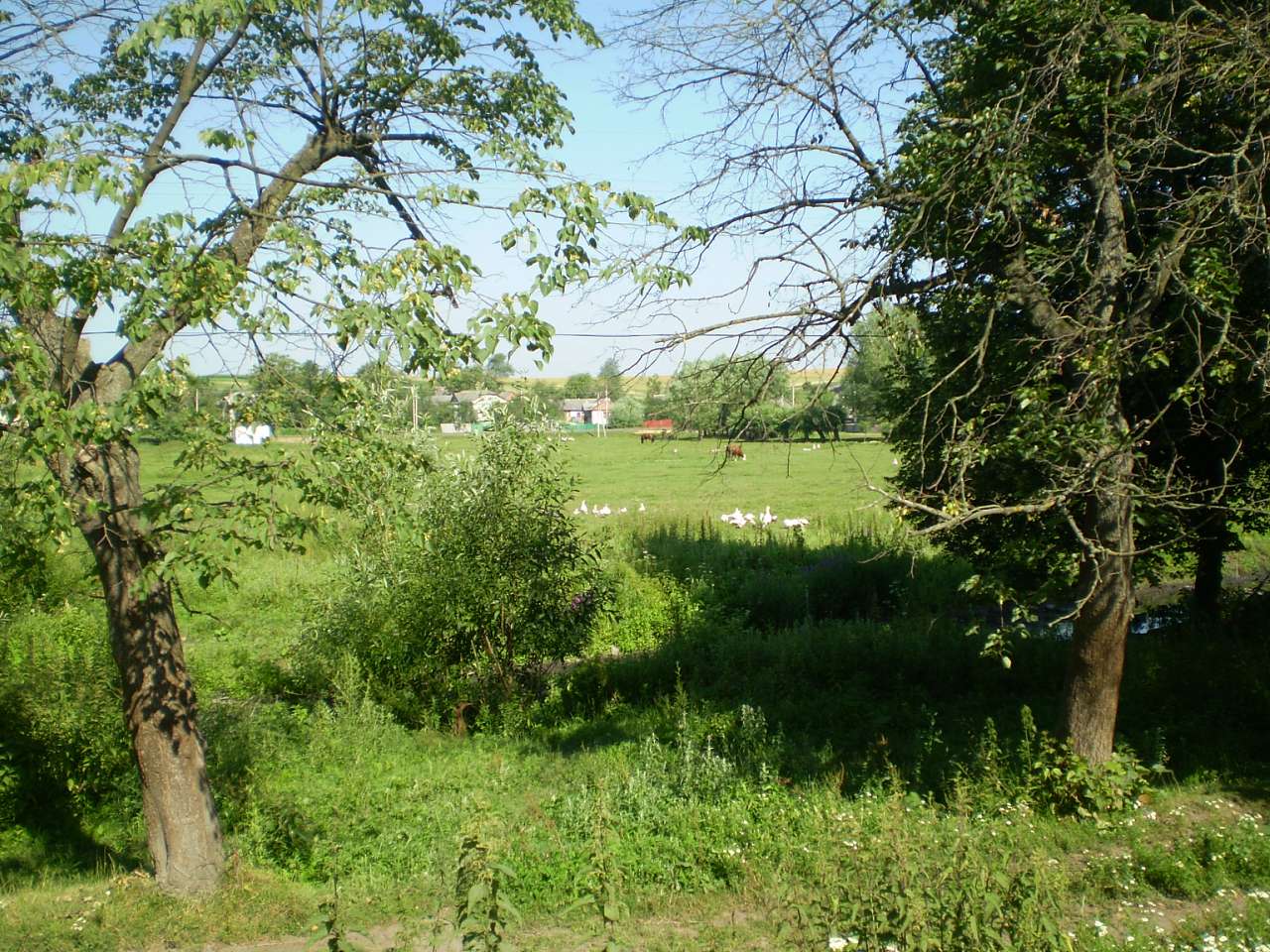 Чагрів - Чагрів