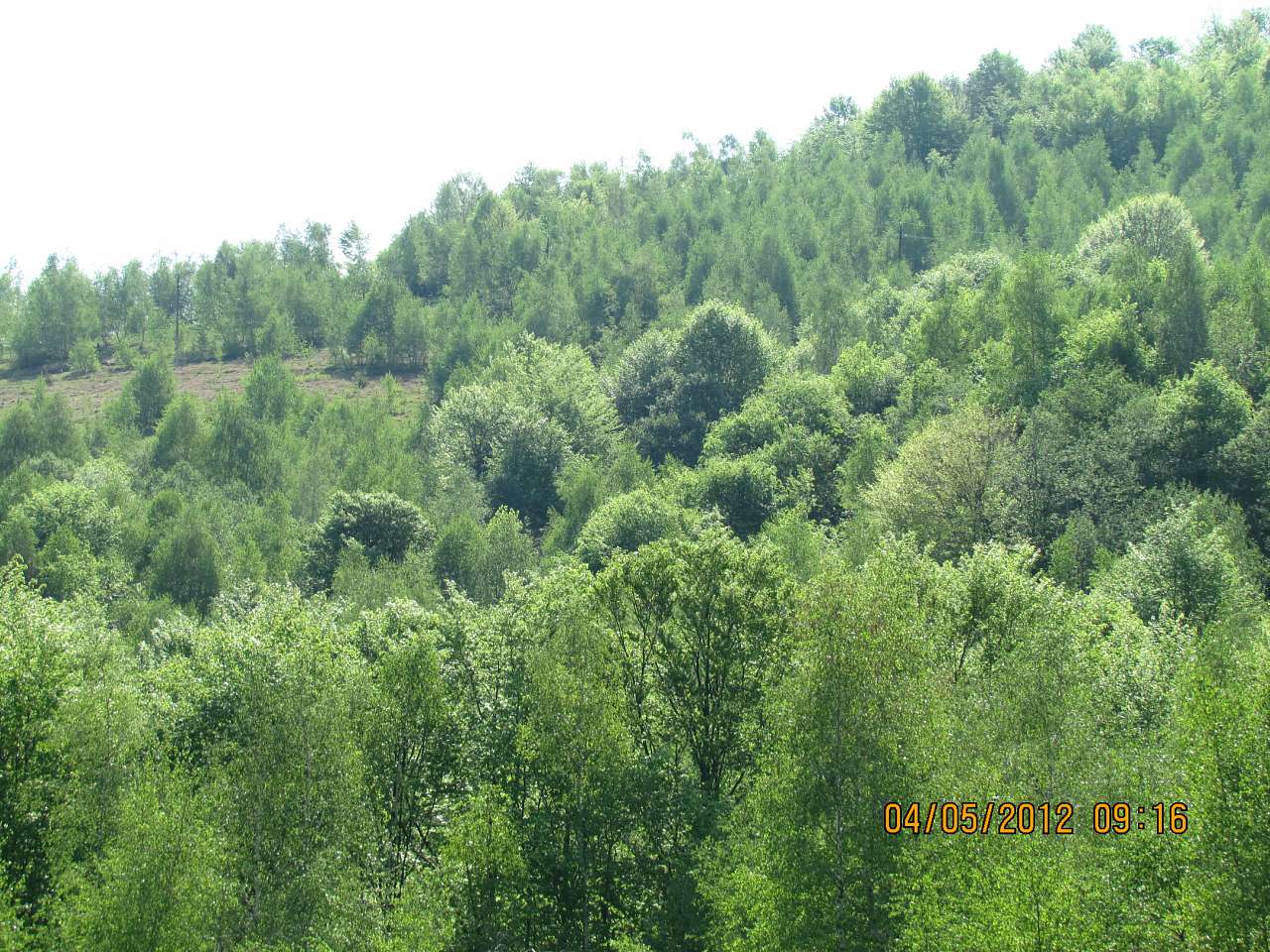 альбом - Бондуровка