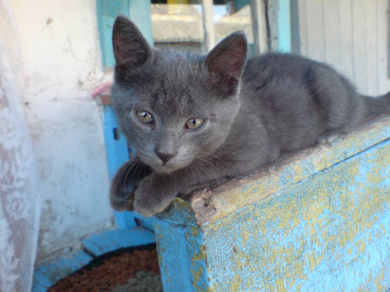 Яструбине - золоте село - Ястребиное