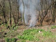 село Буковинка Мукачівський район