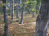 Садиба Роллє