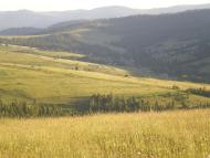 Краєвиди с.Бітля