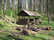 село Буковинка Мукачівський район