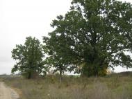 Свідки минулого