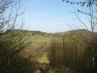 село Буковинка Мукачівський район