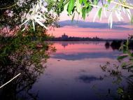 Любарські світанки