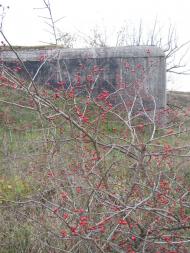 Свідки минулого