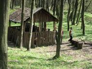 село Буковинка Мукачівський район