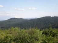 Краєвиди с.Бітля