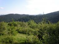 Краєвиди с.Бітля