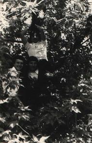 Зоря - Останні фото