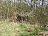 село Буковинка Мукачівський район