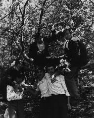 Зоря - Останні фото