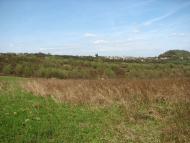 село Буковинка Мукачівський район