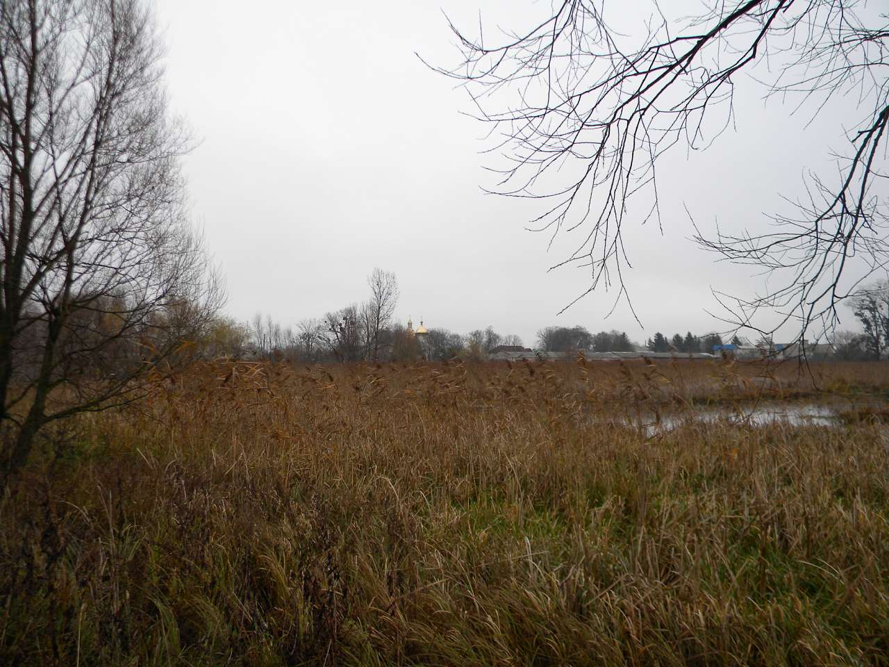 Річка Пляшівка. Замок - Козин