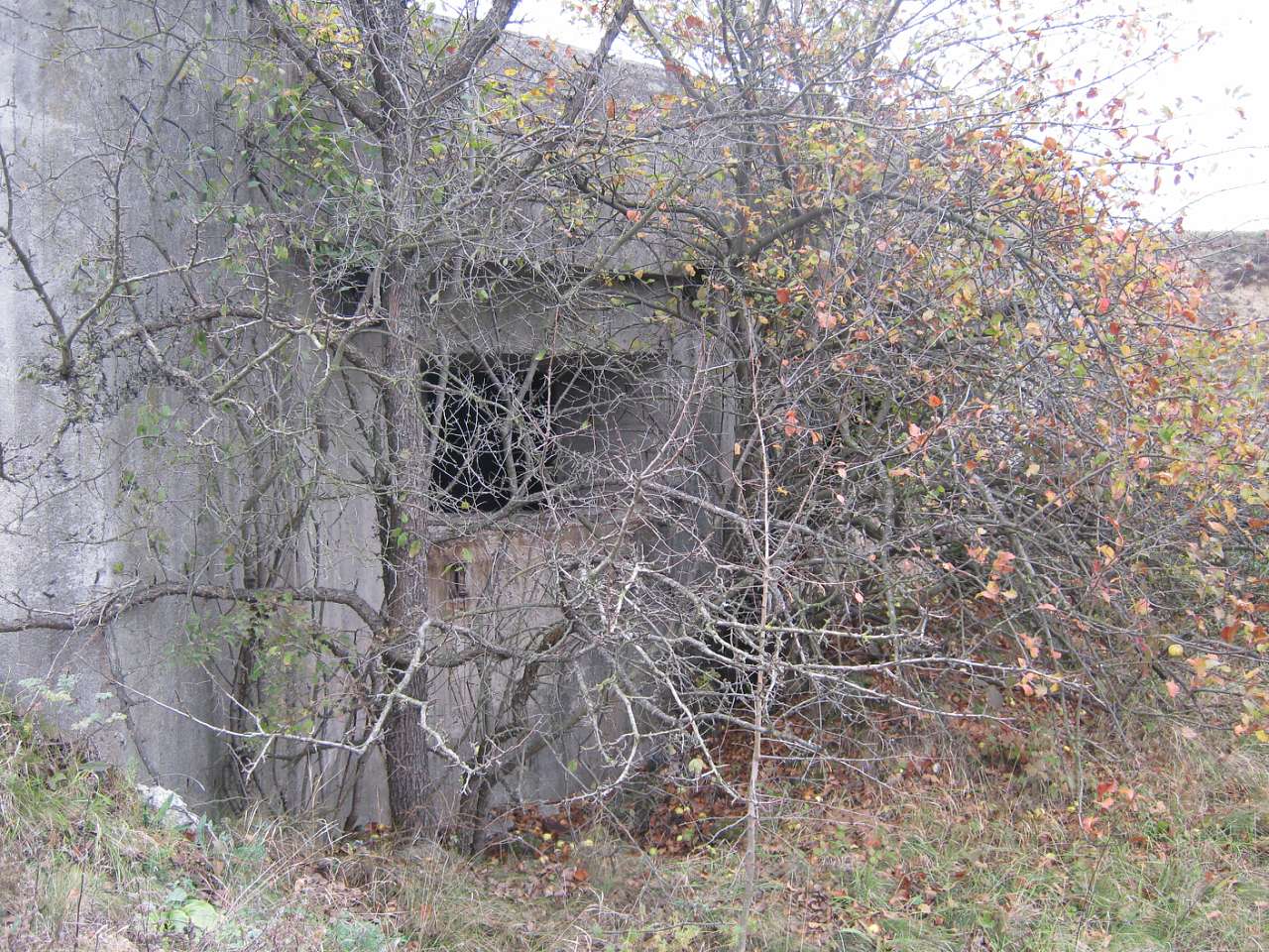 Свідки минулого - Nyzhnye