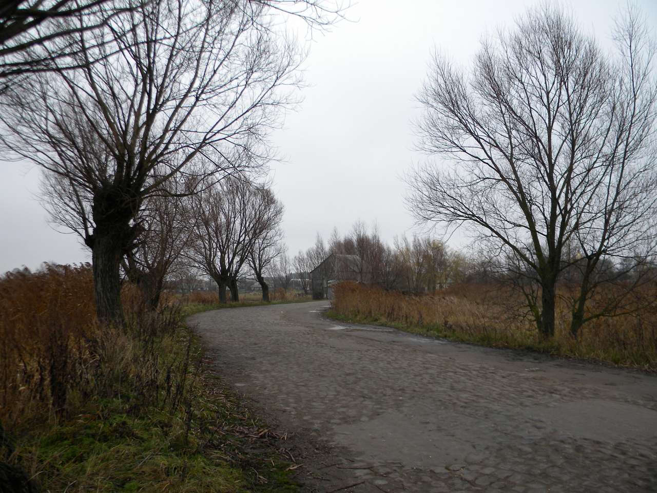 Річка Пляшівка. Замок - Козин