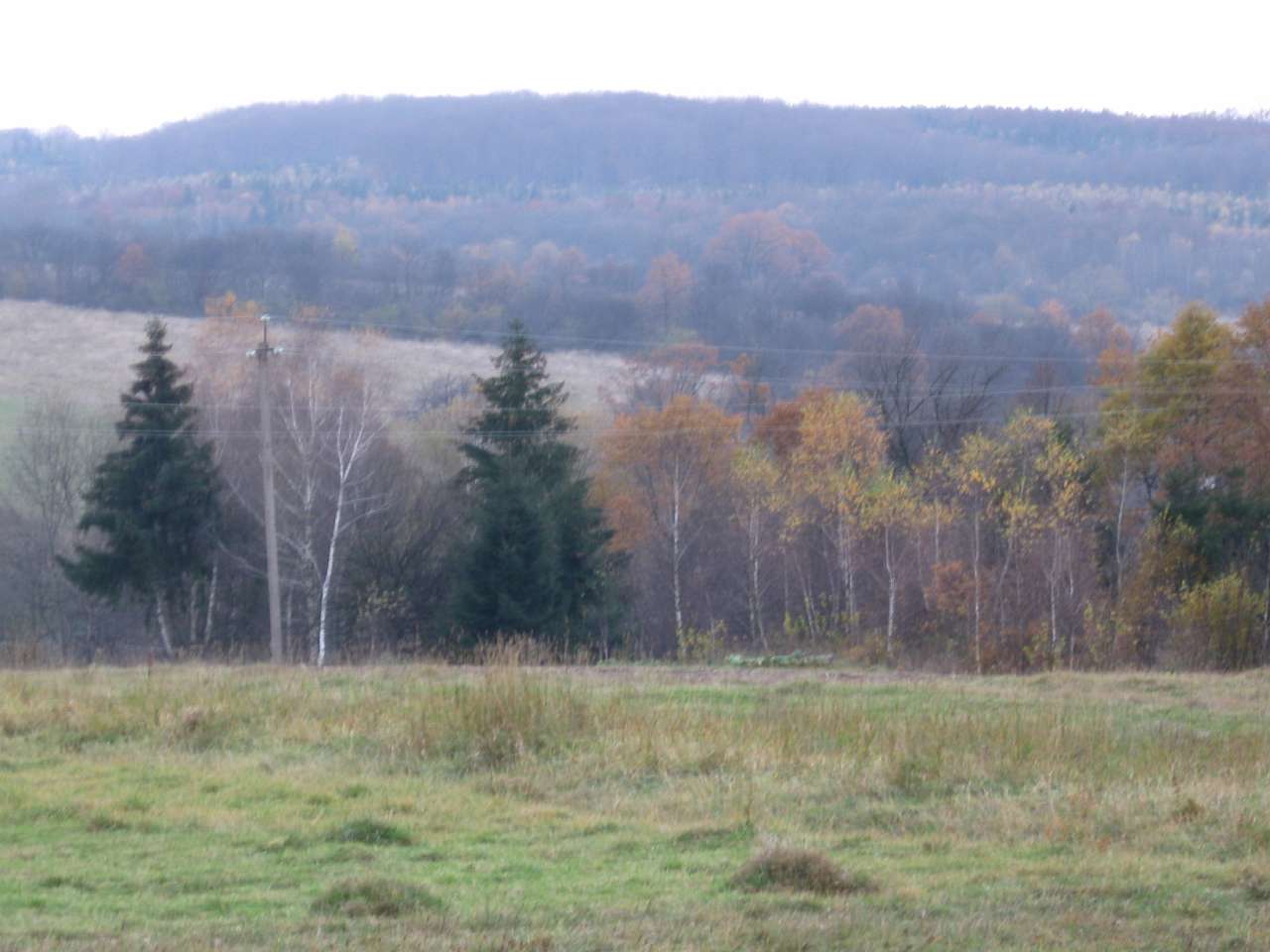 природа - Белеїв