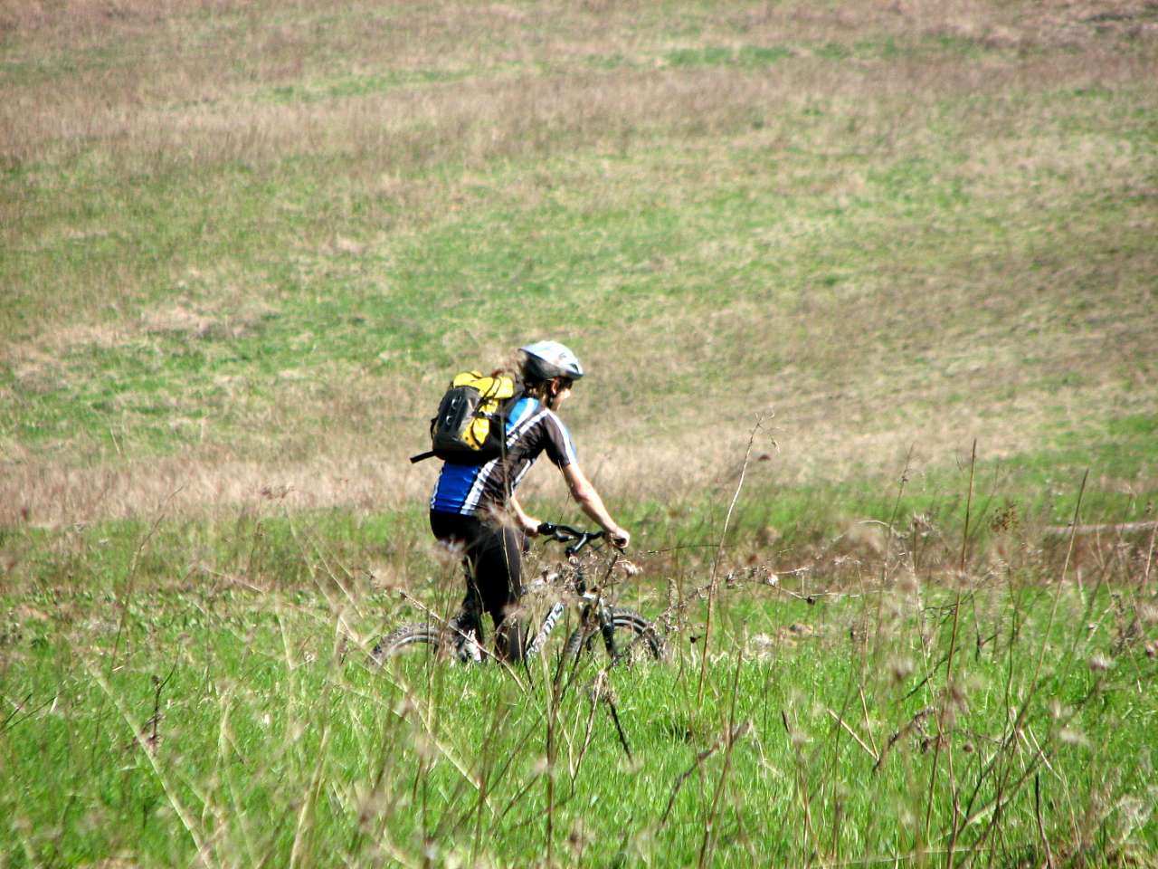 село Буковинка Мукачівський район - Буковинка