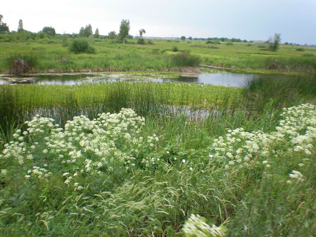 Коморы - Комори