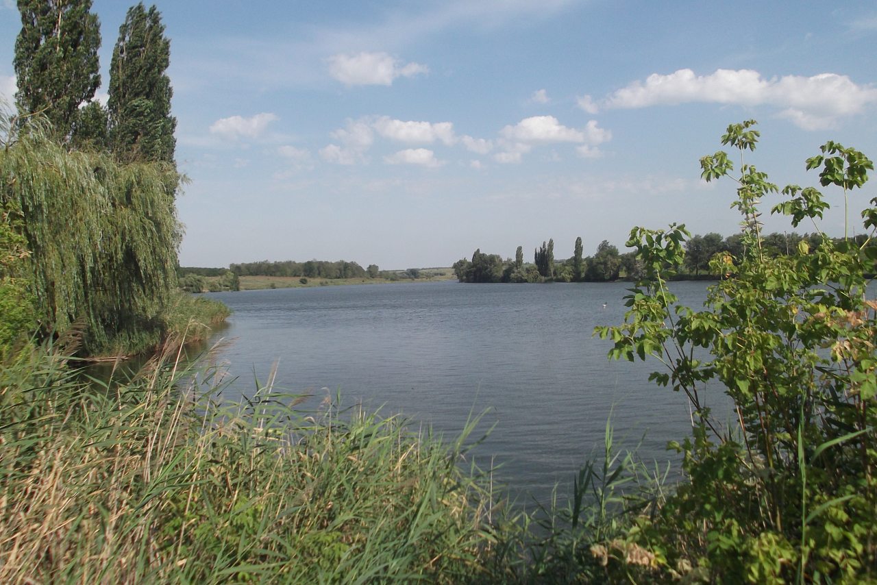 Природа и види села. - Рябоконеве