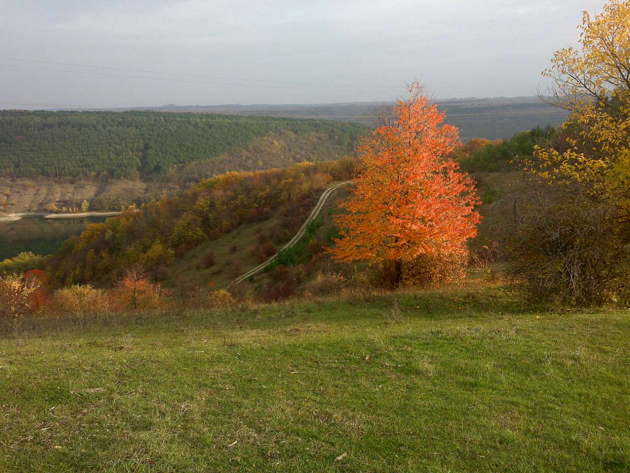 Природа - Стара Ушиця