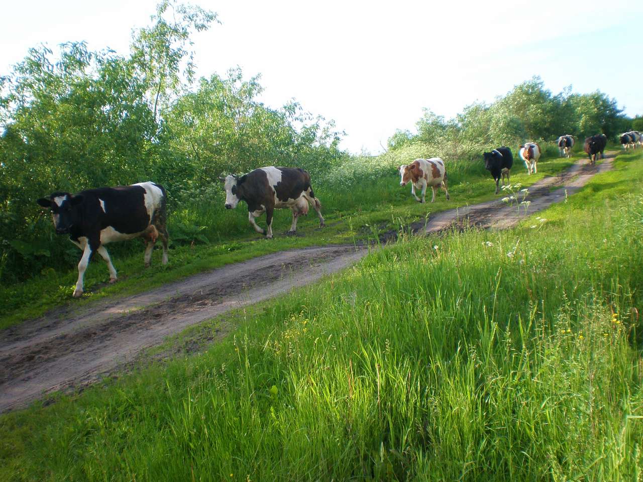 Коморы - Комори